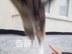 -好利来(宣武门店)