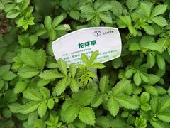 -北京植物园南门售票处