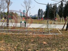 -万绿园