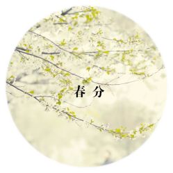 -Dr.ACNE痘院长祛痘皮肤管理连锁