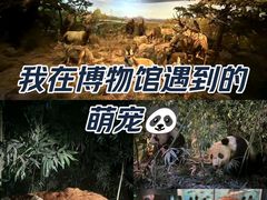 -天津自然博物馆