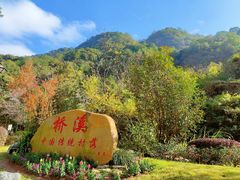 -雁南飞茶田景区