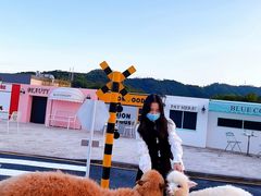 -Blue Concept Cafe&Farm·關於藍
