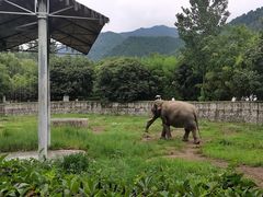 -西安秦岭野生动物园