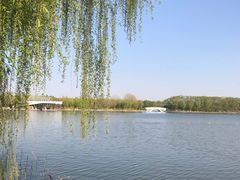 -大兴滨河森林公园