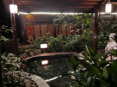 -明月山天沐温泉度假村