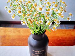 -天津东丽湖风景区