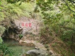 -宁波市保国寺古建筑博物馆