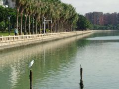 -白鹭洲公园