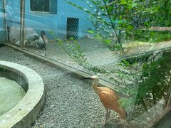 -青藏高原野生动物园