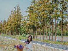 -上海长兴岛郊野公园