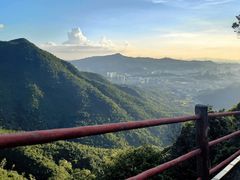 -东莞市大岭山森林公园