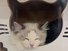 -老炮儿轰趴团建KTV桌游棋牌主题馆(五道口店（底商店))