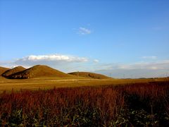 -塞罕坝国家级自然保护区