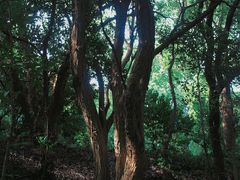 -宝界山林公园