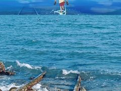 -烟台海昌鲸鲨海洋公园