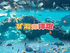 -长鹿旅游休博园