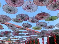 -都江堰玫瑰花溪谷
