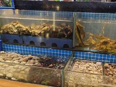 -鹿客臻鲜海鲜自助餐厅(永旺店)