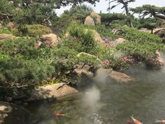 -罗红摄影艺术馆