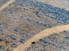 -大同王府至尊酒店