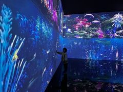 -中国湿地博物馆