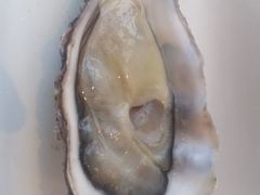 -Oyster Talks 四度蚝法餐厅