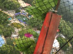 游乐设施-朝阳公园游乐园