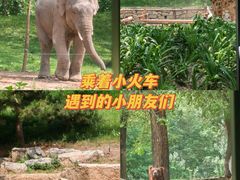 -北京野生动物园