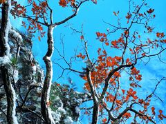 -丹东天桥沟景区