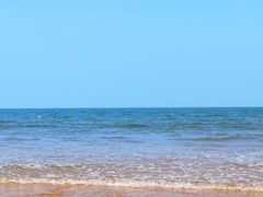 -渡海小渔村.老辈日照菜