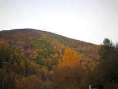 绚丽山肩-海坨山