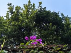 -厦门园林博览苑