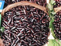 -三旗百汇商品城