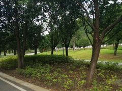 -贵阳市花溪国家城市湿地公园