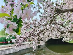 -海棠花溪(元大都城垣遗址公园)