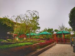 -成都安仁福朋喜来登酒店