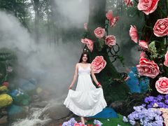 -洛阳白云山景区