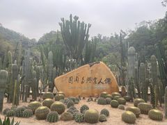 -深圳仙湖植物园