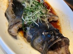 清蒸石斑鱼-鱼乐轩·俄罗斯海鲜直供餐厅(群力店)