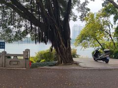 -南宁南湖公园