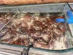 -川骄海鲜自助(河东店)