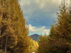 -三块石国家森林公园