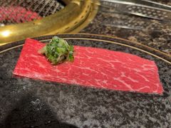 -老乾杯(深圳湾万象城店)