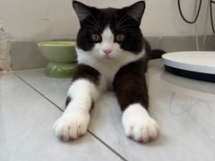 -博特宠物医院24h犬猫全科.骨科·异宠