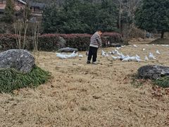 -千岛湖石林