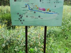 -宁波浙东大竹海景区