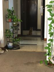 -尚美日式美甲美睫工作室