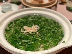 泉水芒种虾皮浸时蔬-新荣记(南京西路店)