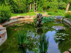 -国家植物园南园